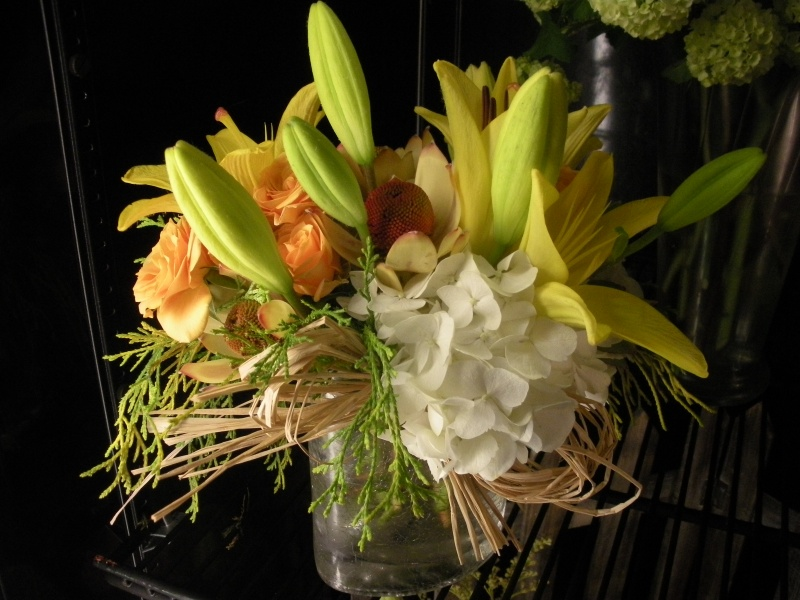 Gallery House of Plants