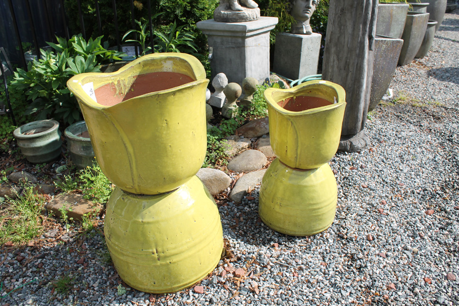 Gallery House of Plants